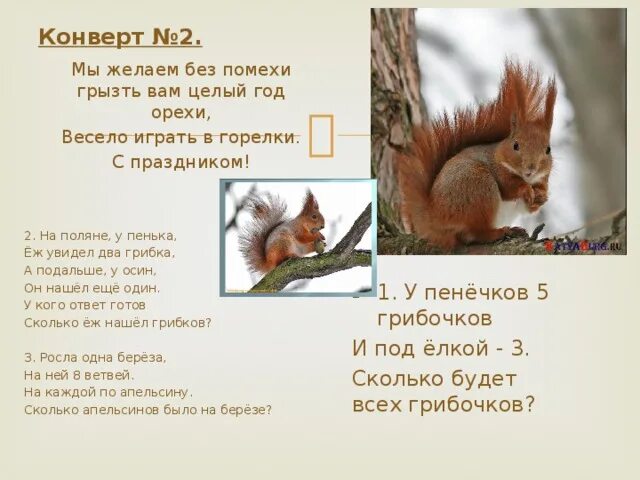 Мягкий знак хвост белки. На поляне у пенечка белка набрала грибочков захаров. На поляне у пенечка белка заголовок. Придумайте к тексту заголовок. На поляне у пенечка белка набрала грибочков.