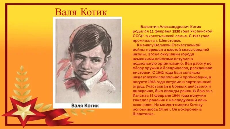 Сообщение о вале котике. Сообщение о вале котике