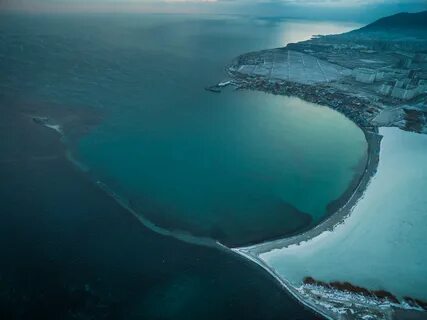 Большая белая в черном море