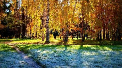 Солнечная поздняя осень