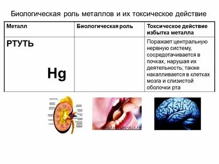 Ртуть значение