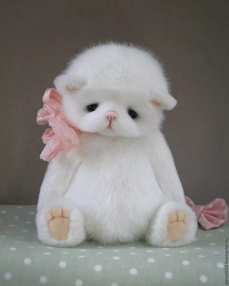 Ми ми ми мишка кот