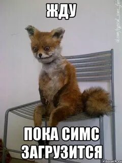 Ждем десятую