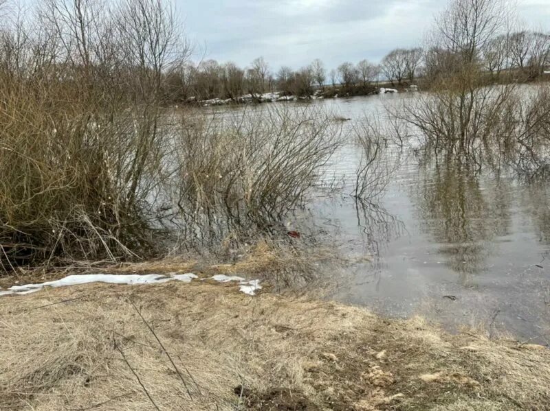 Протва разлив. Подъем воды. Река Протва. Подъем воды в реке. Подъем воды в угре