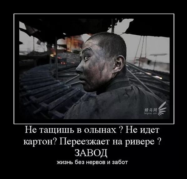 Гудит родной завод. Приколы про завод. Иду на завод. Иди на завод. Шутки про завод.