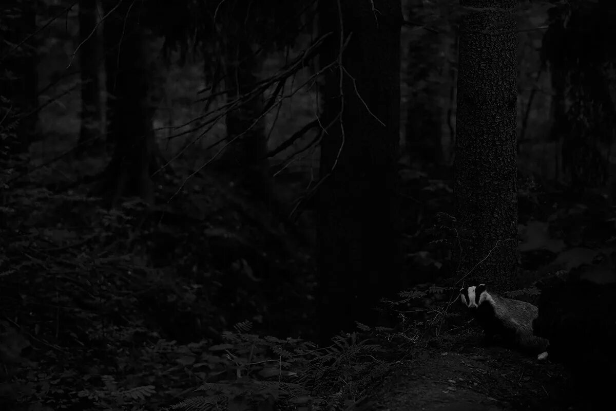 Ночное небо. Свет в тумане. Night encounters. Дорога ночью. Night encounters.