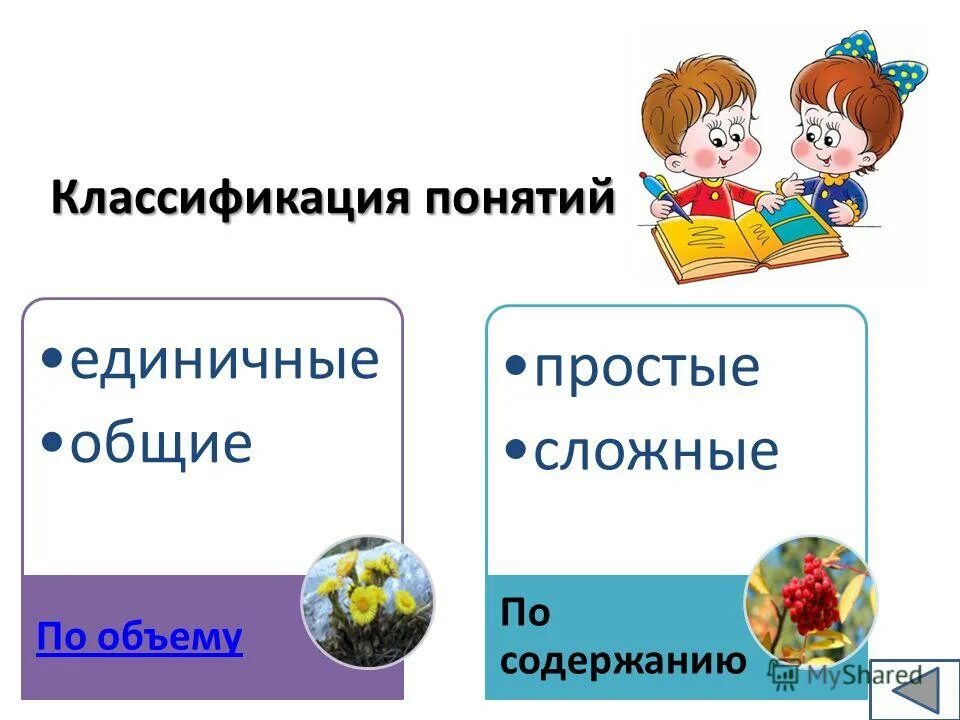 Представления и понятия предмета окружающий мир. Формирование целостного представления о предмете. Представления и понятия предмета окружающий мир. Методика формирования естественнонаучных понятий. Практическое применение предметов.