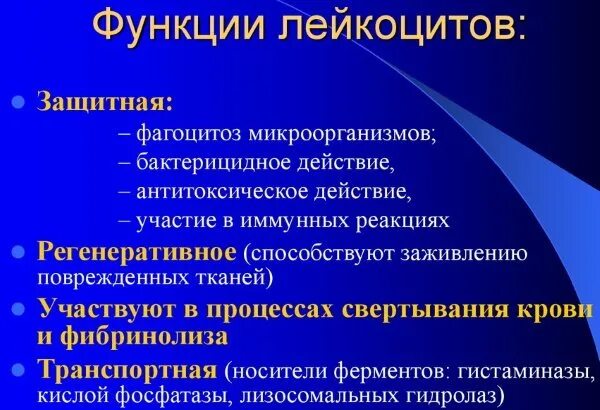 1 функции лейкоцитов. Функции лейкоцитов в очаге воспаления. Роль лейкоцитов в очаге воспаления. Защитная функция лейкоцитов. Функции лейкоцитов при хроническом воспалении.