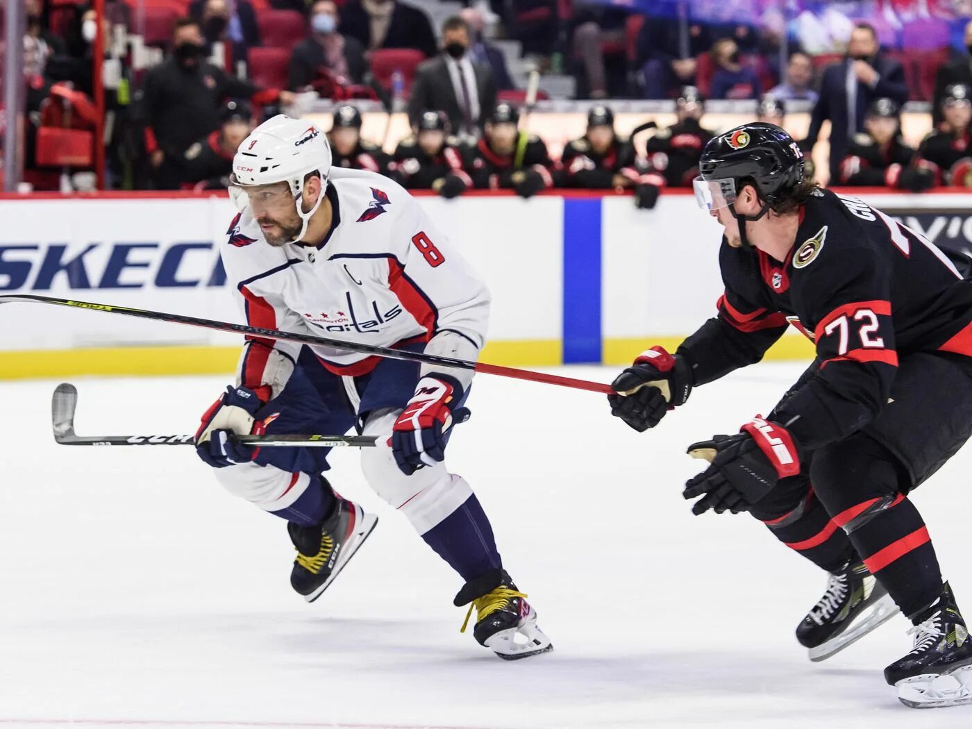 Оттава айлендерс. Ottawa senators сделал предложение. Вашингтон оттава. Молдавский хоккей заяц. Вашингтон кэпиталз оттава сенаторз прямая трансляция.