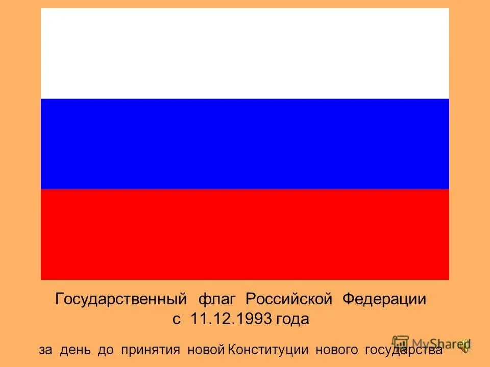 Родина государственного флага область. Флаг Российской Федерации 1993. Флаг России 1993 года. Флаг Российской Федерации 1991 года. Флаг России с 1991 по 1993 гг.