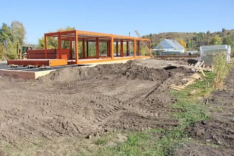 Алтайский красногорский березовка