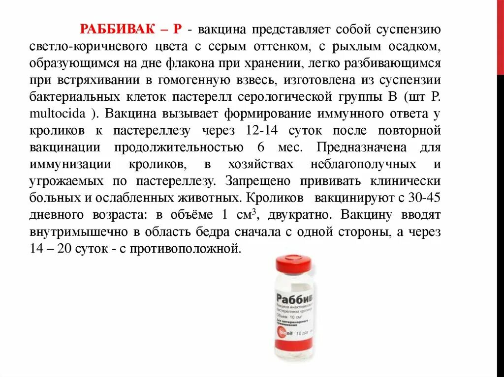 Раббивак р от пастереллеза кроликов. Вакцины для кроликов названия. Вакцинация кроликов схема. Вакцина представляет собой.