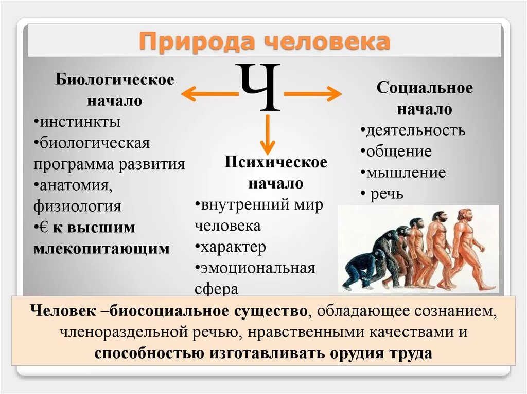 Человеческое общество быстро развивается и меняется. Социальная природа человека. Биологическая природа человека. Биосоциальная природа человека. Небиологическая природа человека.