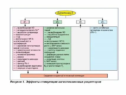 Рецепторы ангиотензина ii