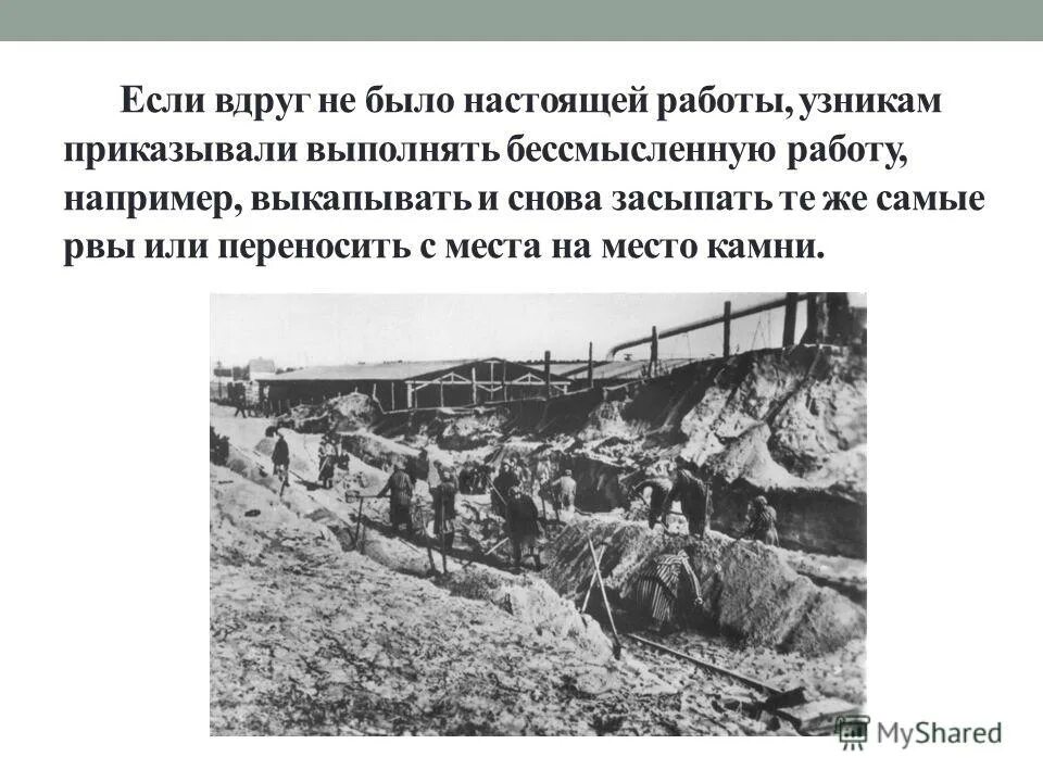 Международный день освобождения узников фашистских концлагерей. 11 Апреля день освобождения узников фашистских концлагерей. Жертвы фашизма презентация. День памяти узников фашистских концлагерей.