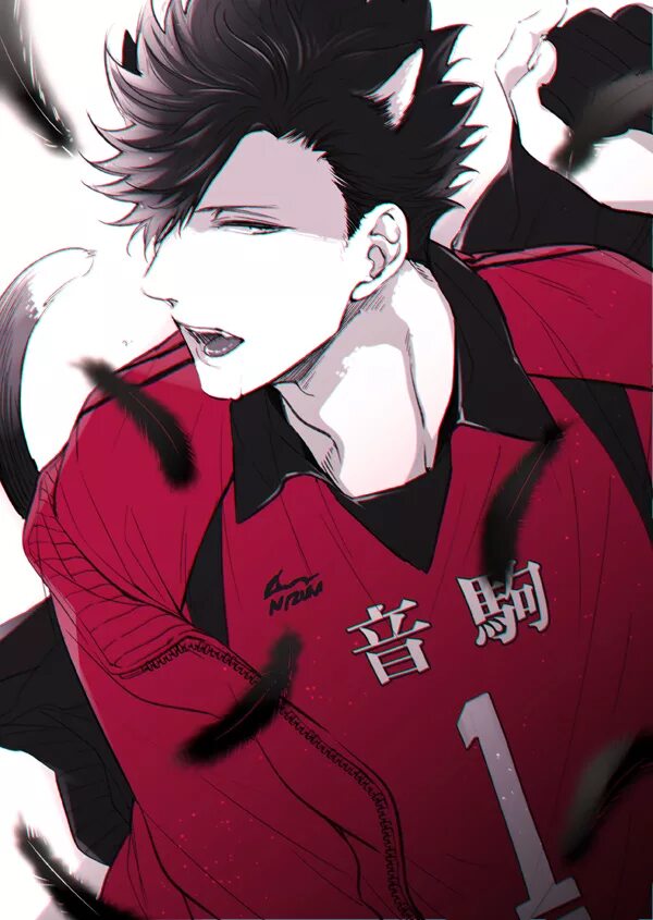 Куроо тэцуро. Haikyuu куроо тэцуро. куроо тэцуро милый. аниме волейбол куро. аниме волейбол куро тетсуро.