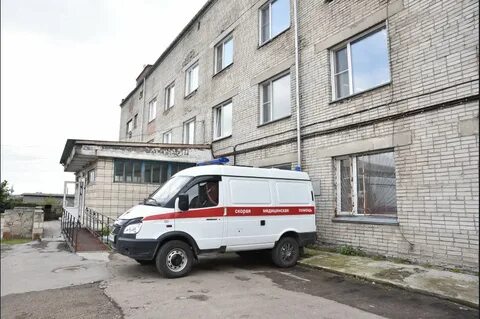 Црб нсо