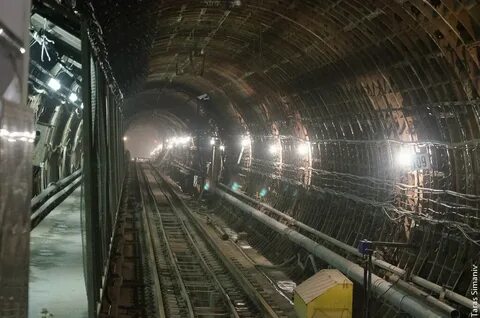 Подсолнечная петровско разумовская
