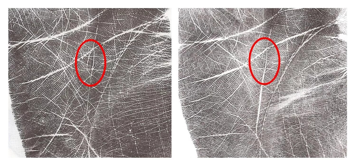 Датирование линии сердца. Хиромантия. Хиромантия картинки. Хиромантия остров на линии судьбы. Гудтаймс хиромантия