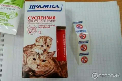 Антигистаминные препараты для кошек от аллергии
