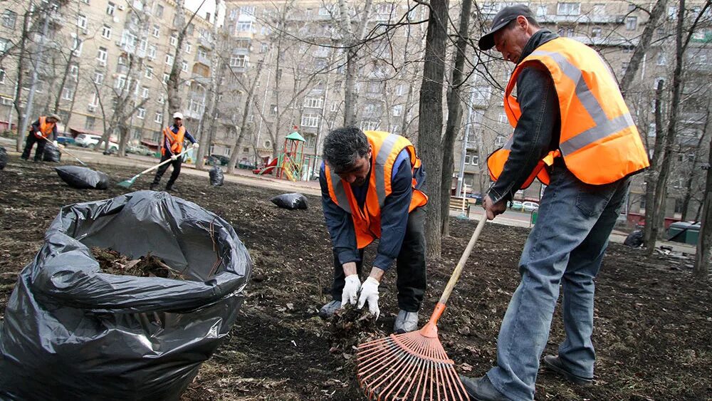 Благоустройство территории жкх. Уборка территории клининг. Дворник уборщик территории. Благоустройство территории. Уборку территории проводят.