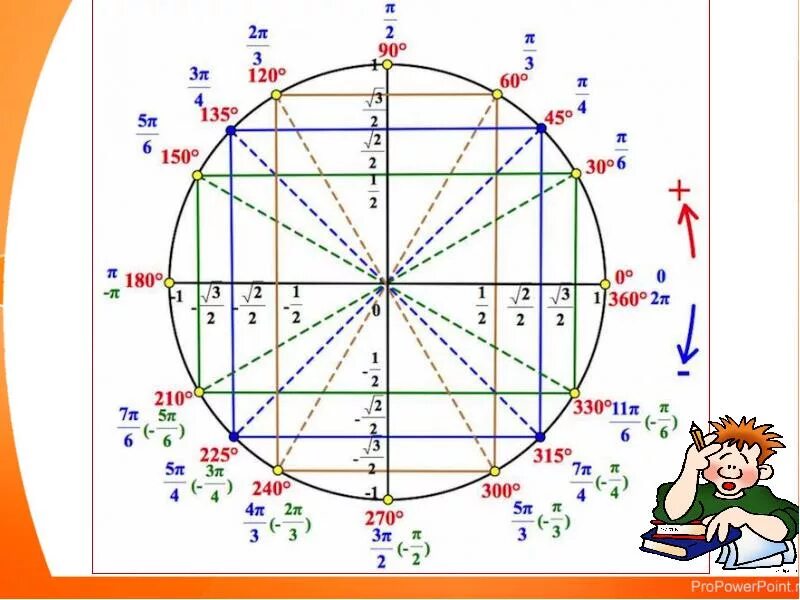 На окружности взяли. Тригонометрический круг со всеми значениями синусов. Тригонометрический круг со значениями синусов и косинусов. Тригонометрический круг -4пи. Тригонометрический круг с градусами синуса и косинуса.