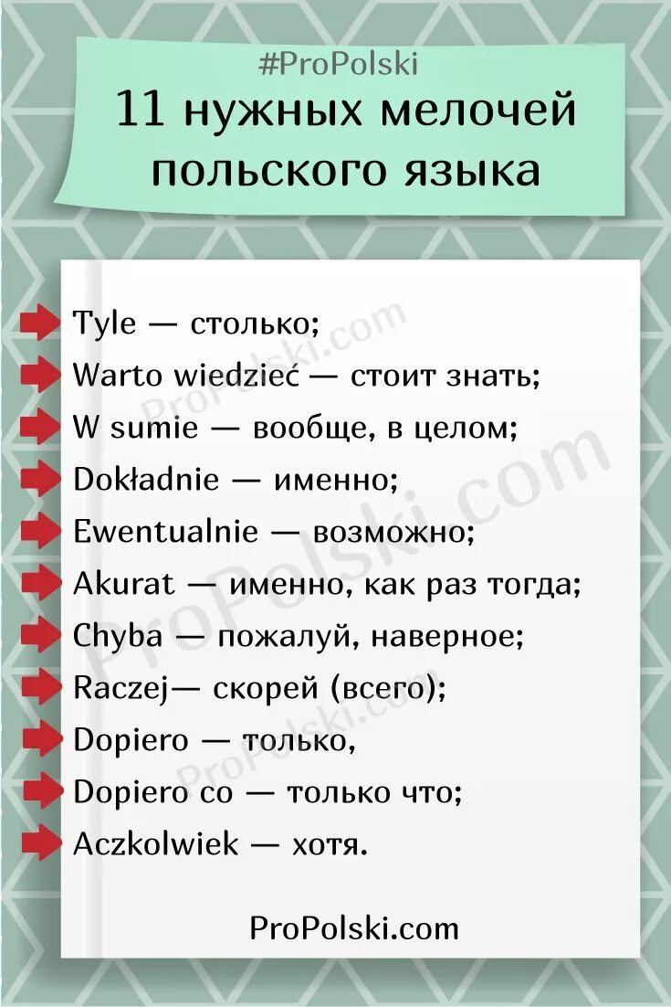 Какое польское слово. Польские слова. Слова на Вельском языке. Фразы на польском. Польский язык слова.