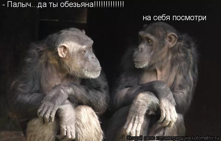 Не вижу ни одной