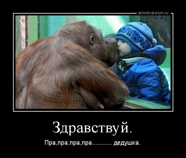 Пра-прадедушка или прапрадедушка. Пра дедушка байбанов. Пра дедушка байбанов. Обезьяна демотиватор. Пра пра прабабушка.