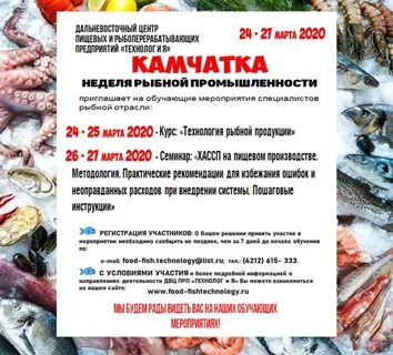 Неделя на камчатке