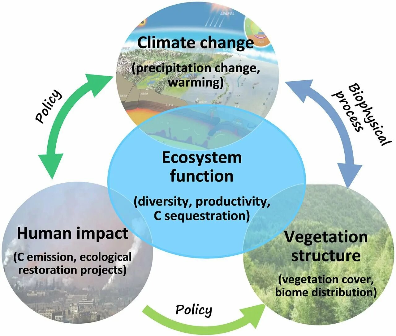 Impact on Human climate. Human Impact on the environment. Climate change Impact. Climate change and Human's Health.