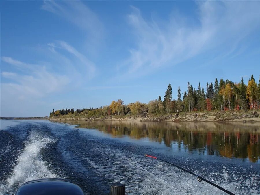 Воды рек коми. Берег реки Печора. Река Печора Республика Коми. Печора (река) реки Республики Коми. Озеро Печора.