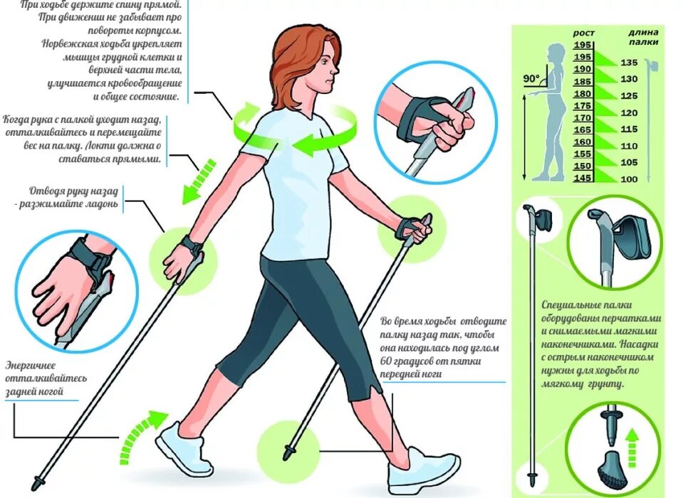 Как правильно держать спину. Скандинавская ходьба с палками техника ходьбы. Техника скандинавской ходьбы для начинающих с палками. Техника скандинавской ходьбы с палками для похудения. Техника скандинавской ходьбы для начинающих пошагово.