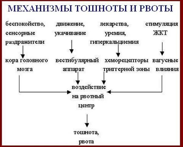 Механизм развития рвоты схема. Механизм развития рвоты при инфекции. Постоянное чувство тошноты без рвоты причины. Причины рвоты.