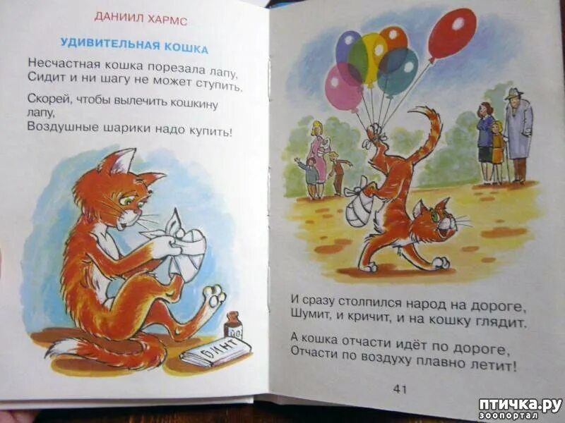 Удивительная кошка хармс читать полностью. Д хармс удивительная кошка. стихи хармса удивительная кошка. стих удивительная кошка д.хармса.