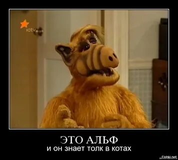 Альф звонит
