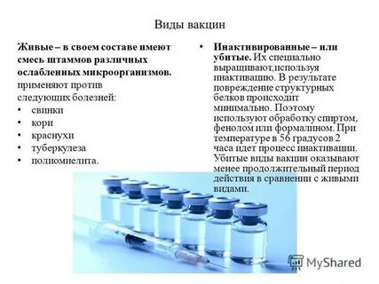 Виды живых вакцин