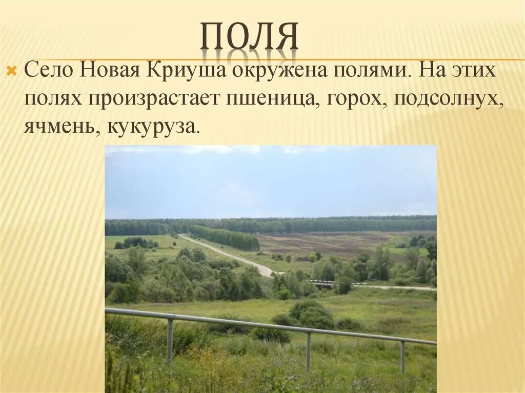 Рп5 погода криуши. Рп5 погода криуши. Погода. Расписание погоды. Rp5.