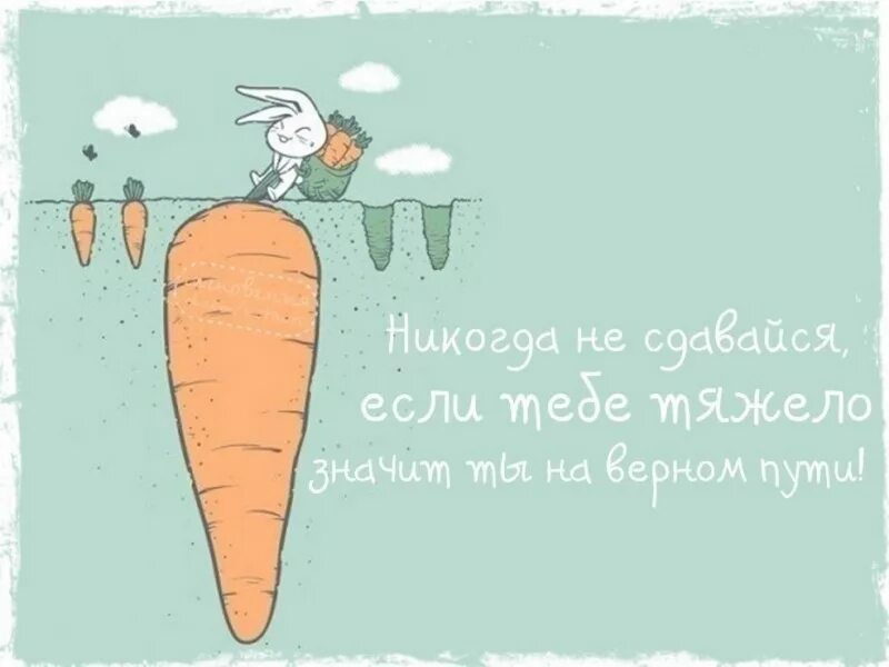 Легче веселее быстрее