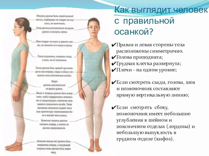 Человек в положении стоя. Правильная осанка. осанка в положении стоя. правильная осанка в положении стоя. правильная осанка плечи.
