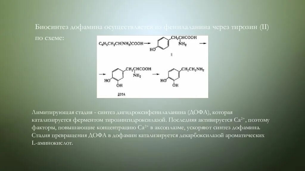 Фенилаланин биохимия. Синтез Дофа. Синтез тирозина. Биосинтез фенилаланина. Фенилаланин в Дофа и дофамин.