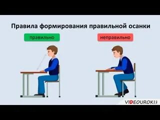 Правильные и неправильные понятия