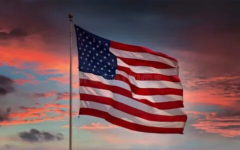 Large america