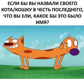 Родители котопса