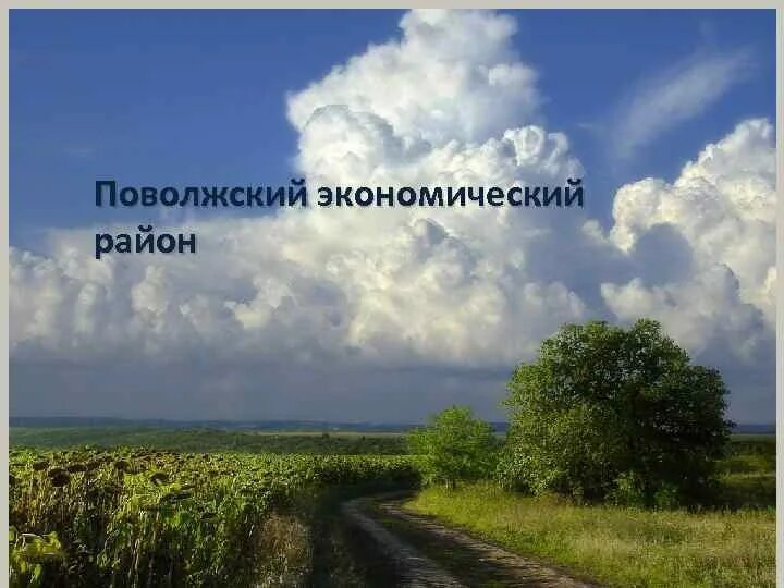 Климат поволжского. Почвы Поволжского экономического района. Климат Поволжского экономического района. Климатические ресурсы Поволжья. Уральский экономический район фото континентальный климат.