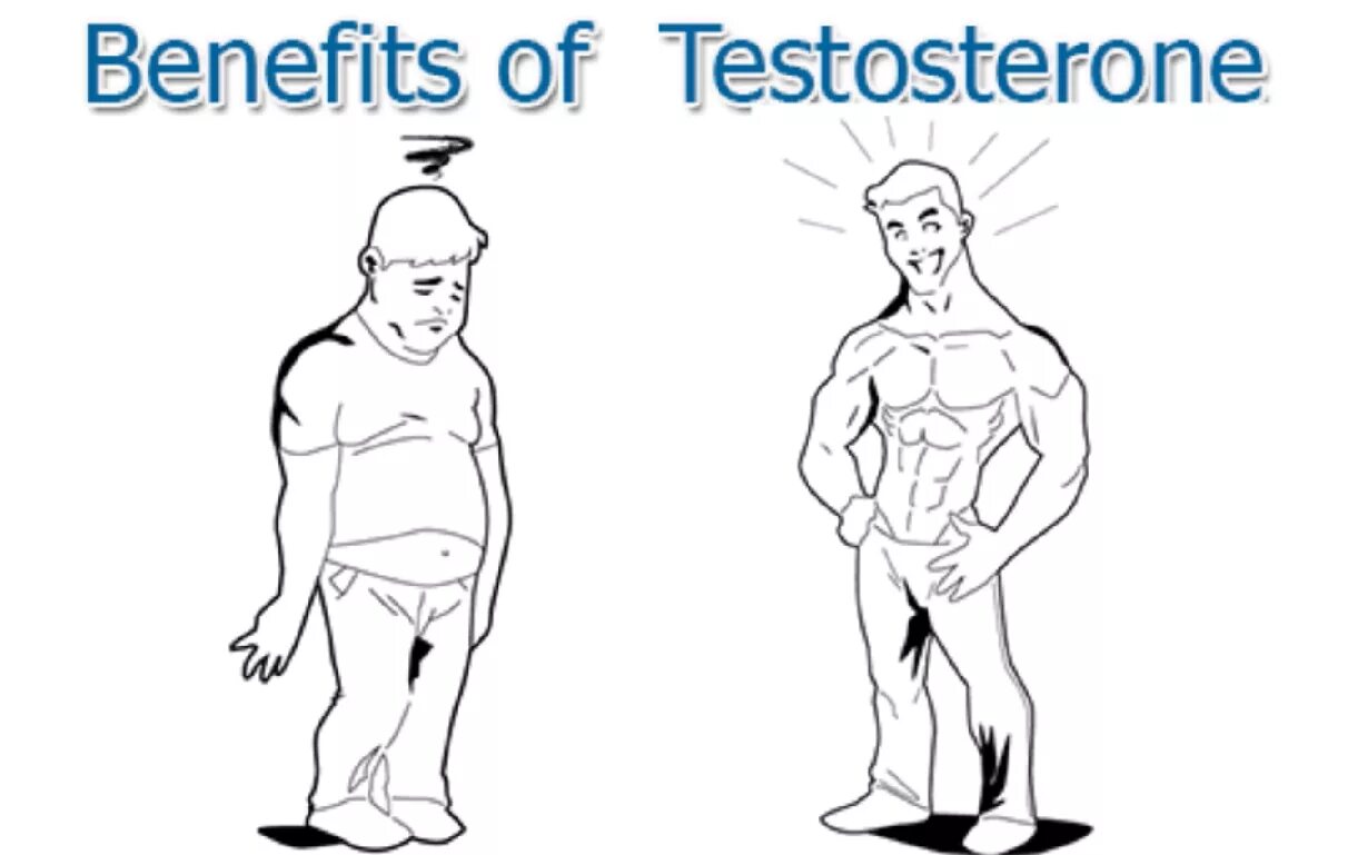 Тестостерон питание мужчины. Шутки про тестостерон. Мемы про тестостерон. Тестостерон мужчины рисунок. Мем про тестостерон и волосы.