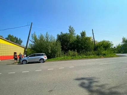 Абагур лесной новокузнецк