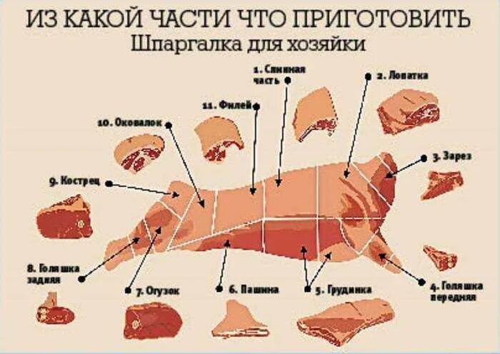 Как разбираться в мясе