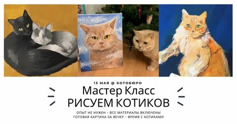 13 котиков
