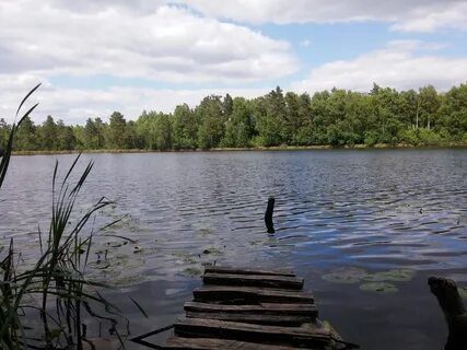 Оз могилев